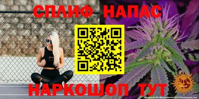 apvp Будённовск